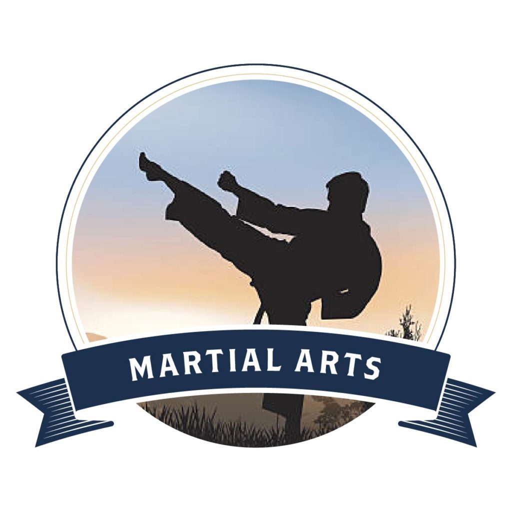 Emblem Enterprises segments patch martial arts 2