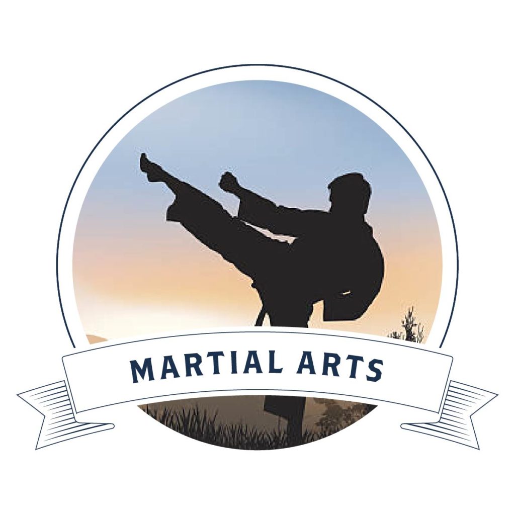 Emblem Enterprises segments patch martial arts 1